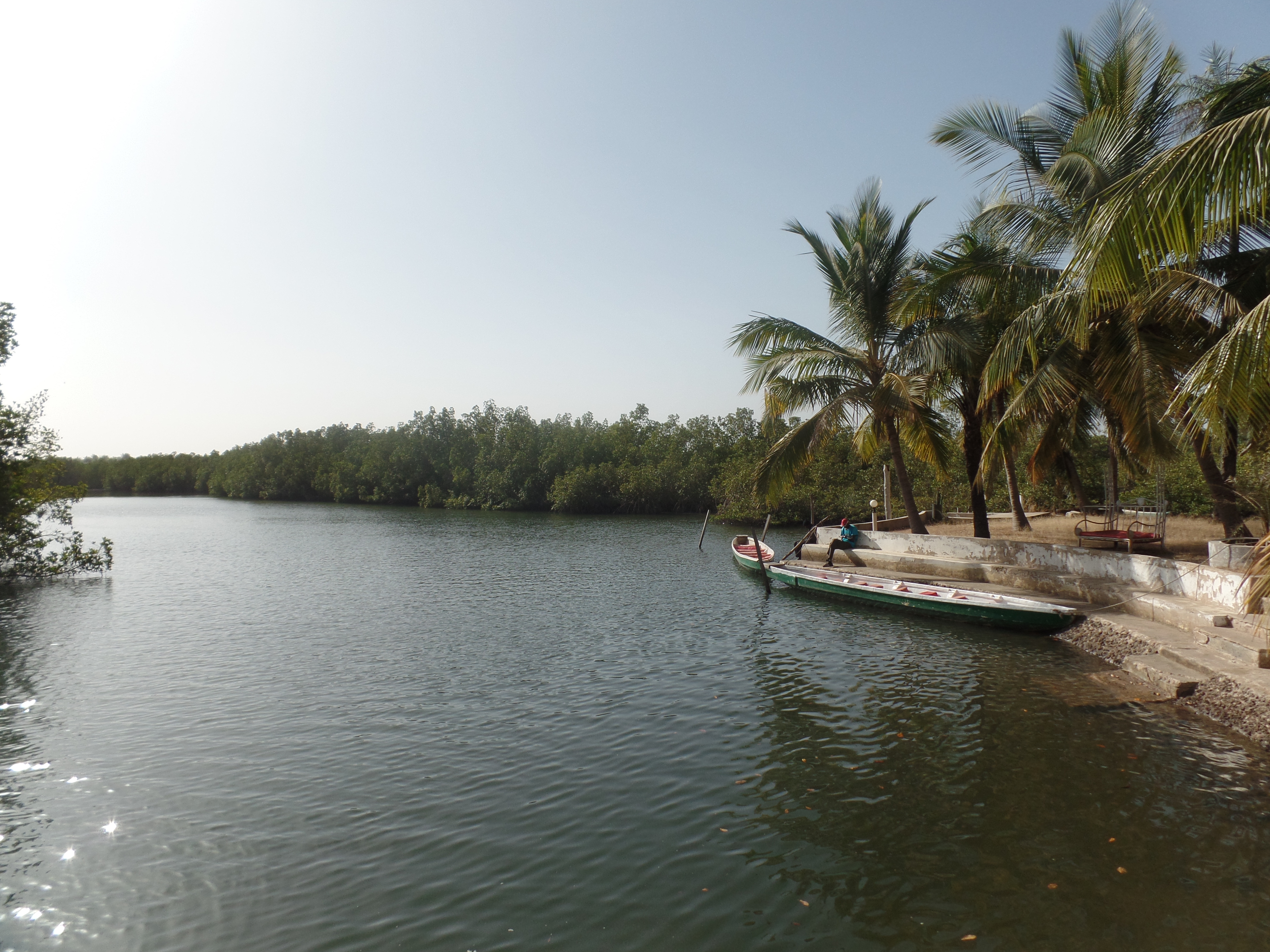 przepływająca przez Park jedna z licznych odnóg rzeki Gambia