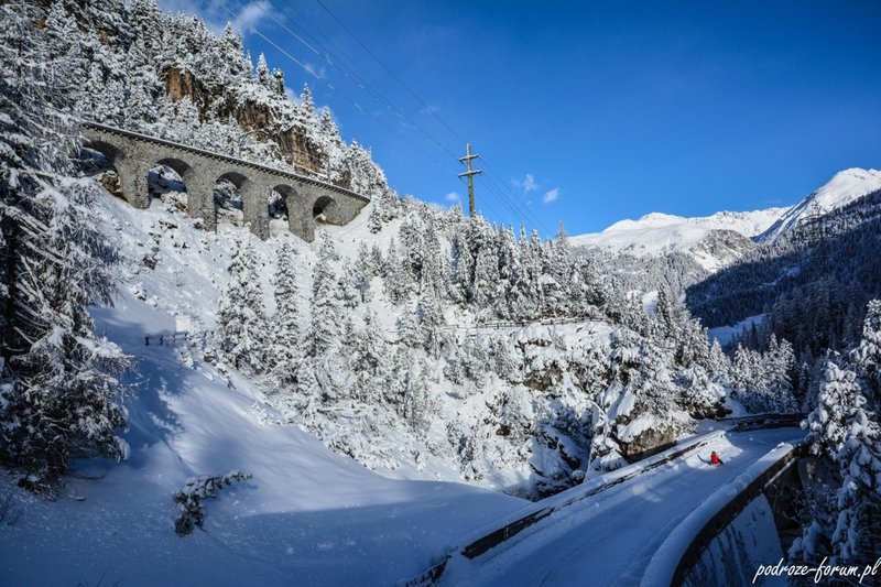 Bernina Ekspress Szwajcaria 2015 (41).jpg