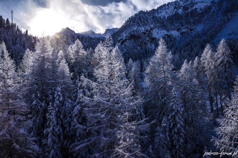 Bernina Ekspress Szwajcaria 2015 (43).jpg