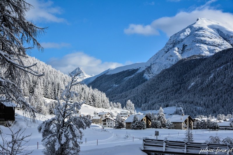 Bernina Ekspress Szwajcaria 2015 (49).jpg