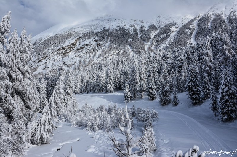 Bernina Ekspress Szwajcaria 2015 (78).jpg