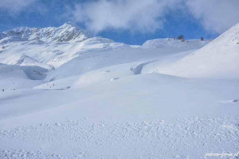 Bernina Ekspress Szwajcaria 2015 (106).jpg