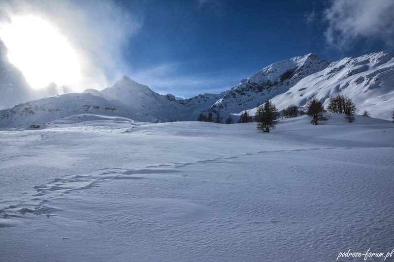 Bernina Ekspress Szwajcaria 2015 (110).jpg