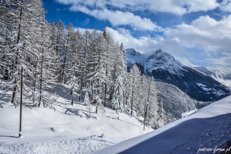 Bernina Ekspress Szwajcaria 2015 (146).jpg