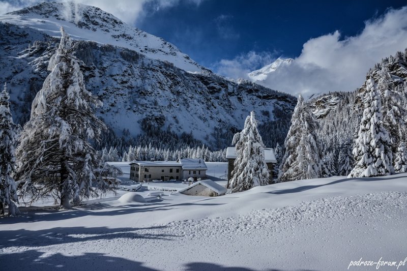 Bernina Ekspress Szwajcaria 2015 (157).jpg