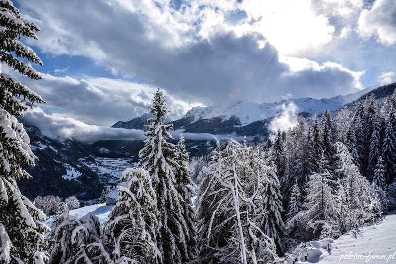 Bernina Ekspress Szwajcaria 2015 (173).jpg