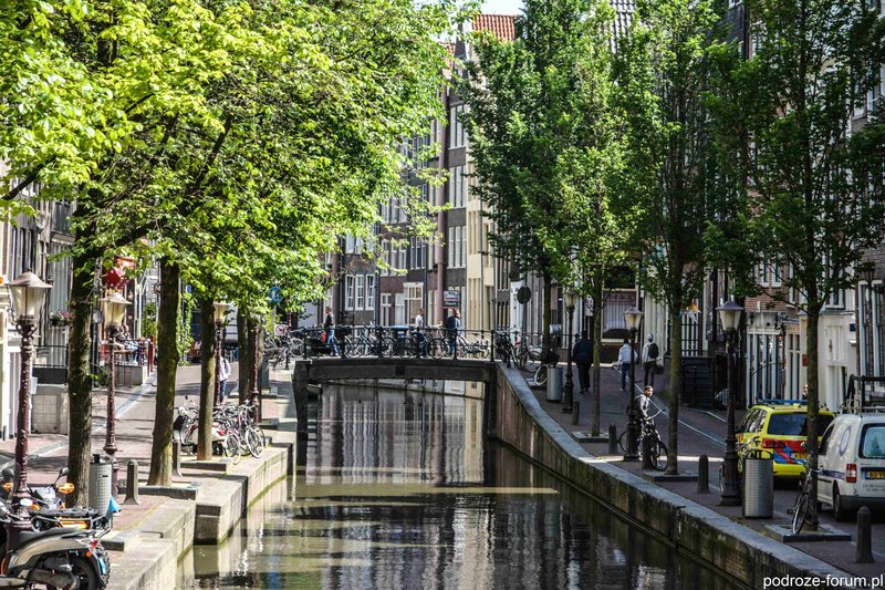 Amsterdam 2015 (49).jpg